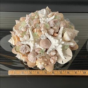 Handmade piece of art decorative Seashell Centerpiece